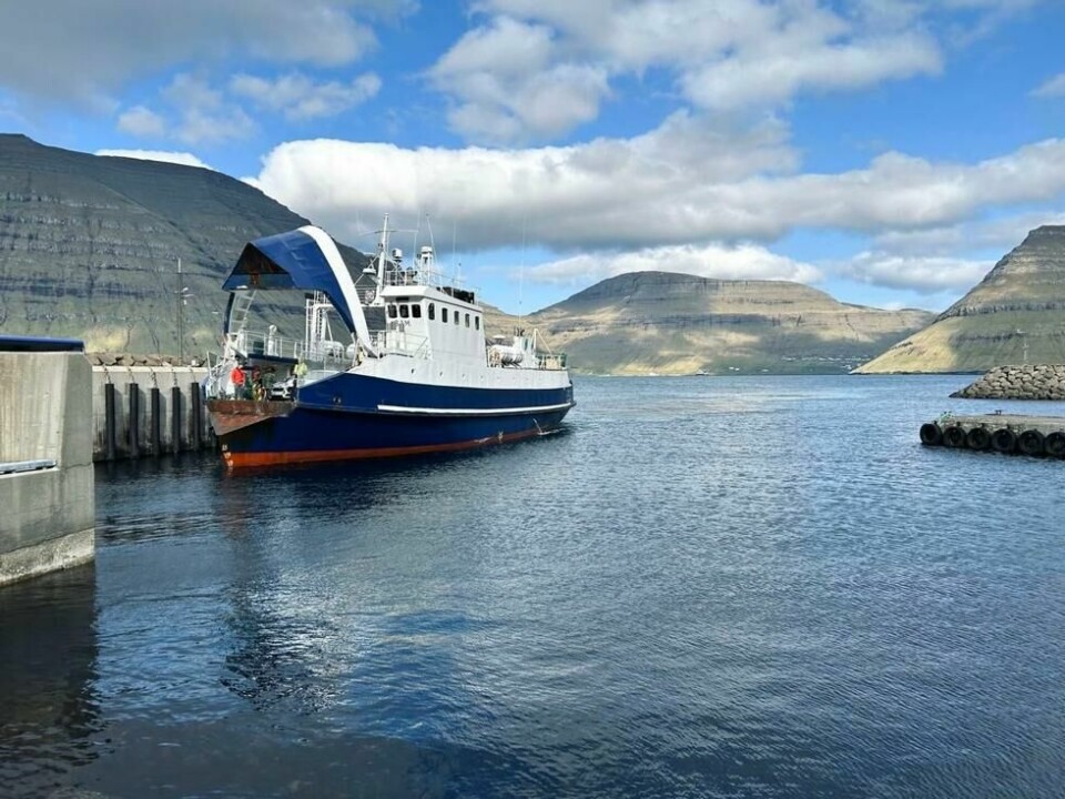Snart har Færøyene, med sine 50.000 innbyggere, hele fire imponerende undersjøiske tunneler som knytter øyriket sammen. Noen øyer, som Kalsoy, må fortsatt nås med ferge. Snart har Færøyene, med sine 50.000 innbyggere, hele fire imponerende undersjøiske tunneler som knytter øyriket sammen. Noen øyer, som Kalsoy, må fortsatt nås med ferge. Foto: Ingrid Elle / Kapital