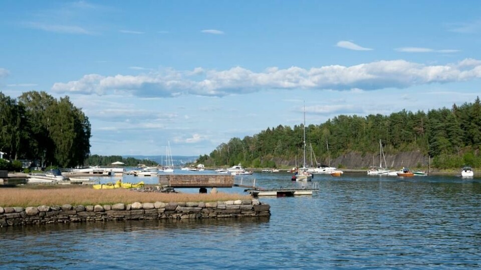 Middagsbukta ved Brønnøya utenfor Asker er et av områdene hvor det tidligere har blusset opp omfang av kjøttetende bakterier. Nå advarer forskere om at bakterienivået kan bli høyere fordi temperaturen i vannet stiger. Foto: Fredrik Hagen / NTB