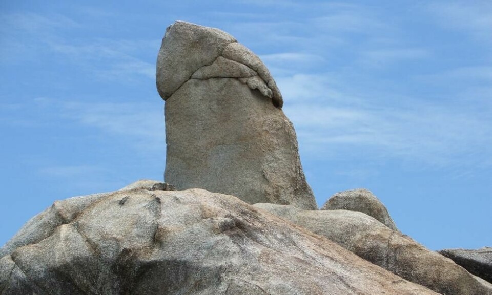 Hin Ta kan absolutt minne om en mannlig penis. Foto: Abi/Flickr Hin Ta kan absolutt minne om en mannlig penis. Foto: Abi/Flickr