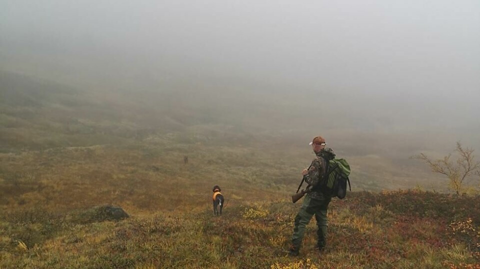 Småviltjakt i Meråker