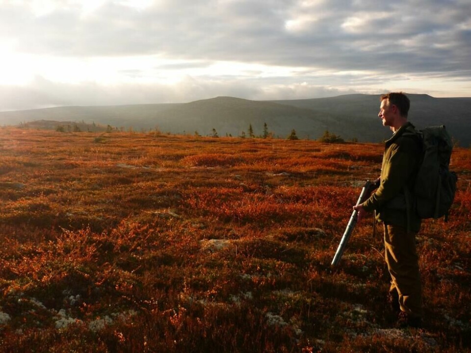 Rypejakt i Ljørdalsfjella Rypejakt i Ljørdalsfjella Foto: Christian Sletengen