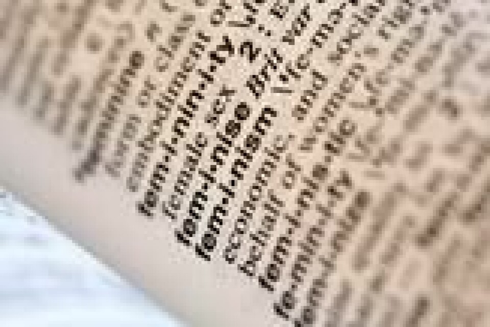 Kjønnsteori- og politikk har vært et hett tema de siste årene. «Feminisme» ble kåret til årets ord av ordbokutgiveren Merriam-Webster i 2017. NTB Scanpix/AP Photo. Kjønnsteori- og politikk har vært et hett tema de siste årene. «Feminisme» ble kåret til årets ord av ordbokutgiveren Merriam-Webster i 2017. NTB Scanpix/AP Photo.