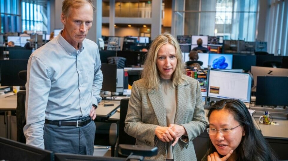 Hovedindeksen på Oslo Børs var i fritt fall i de første sekundene etter åpning mandag morgen. DNB Markets seniorøkonom Kyrre Aamdal (venstre), sjeføkonom Kjersti Haugland (midten) og makroøkonom Kelly Chen (høyre) studerer markedsutviklingen. Foto: Ole Berg-Rusten / NTB