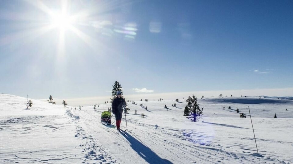 Etter mange solfylte timer inntil hytteveggen eller på skitur er det mange som opplever smerter i øynene. Det kan være forferdelig vondt å oppleve snøblindhet. Foto: NTB scanpix.