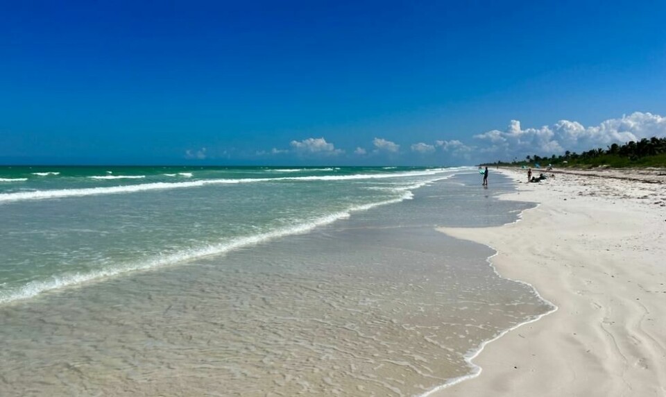 El Cuyo er det nærmeste du kommer et paradis nærmest uberørt av turisme på Yucatanhalvøya i Mexico. Her er det god plass og ikke en solseng i sikte. El Cuyo er det nærmeste du kommer et paradis nærmest uberørt av turisme på Yucatanhalvøya i Mexico. Her er det god plass og ikke en solseng i sikte. Foto: TUI