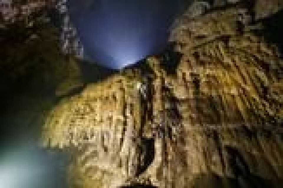 Foto: Oxalis Adventure Tours. Foto: Oxalis Adventure Tours.