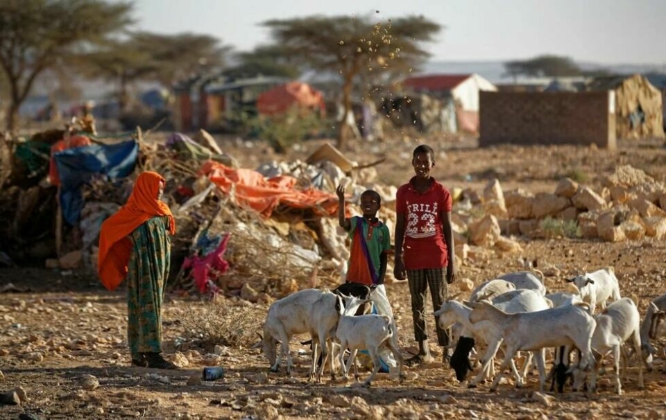 I mer enn tre tiår har Somalia vært preget av konflikt og enorm fattigdom. Gjennom en rekke organisasjoner har Norge et stort bistandsengasjement i landet der halve av befolkningen nå trenger nødhjelp. Bildet er fra en leir for internt fordrevne Qardho, Puntland. I mer enn tre tiår har Somalia vært preget av konflikt og enorm fattigdom. Gjennom en rekke organisasjoner har Norge et stort bistandsengasjement i landet der halve av befolkningen nå trenger nødhjelp. Bildet er fra en leir for internt fordrevne Qardho, Puntland. Foto: Ben Curtis / AP / NTB