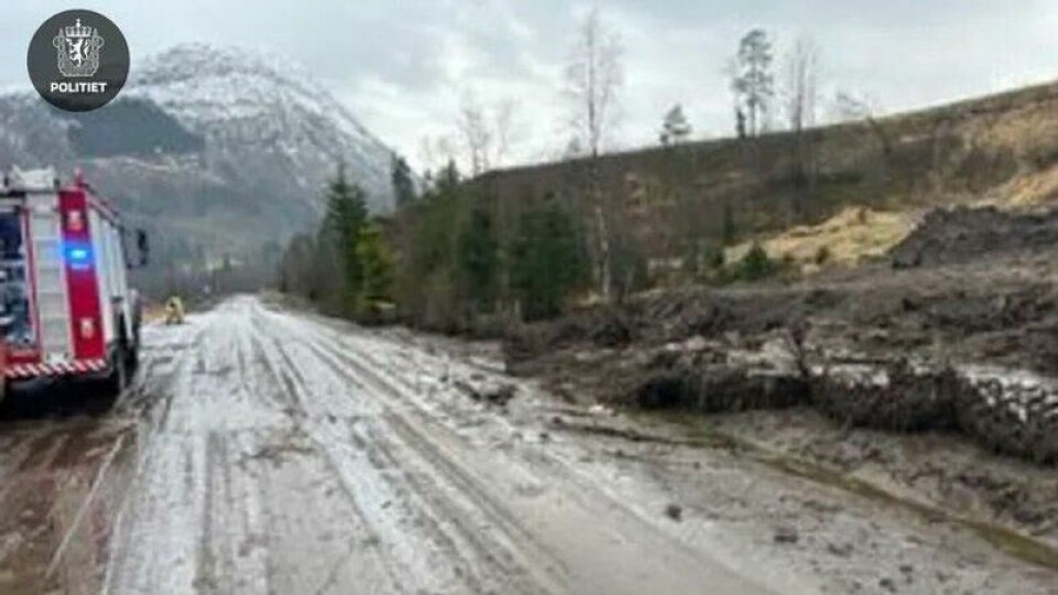 En betongvegg til en gjødselkjeller har kollapset, og omtrent 1500 liter kumøkk har lekket ut på E39 i Sunnfjord.