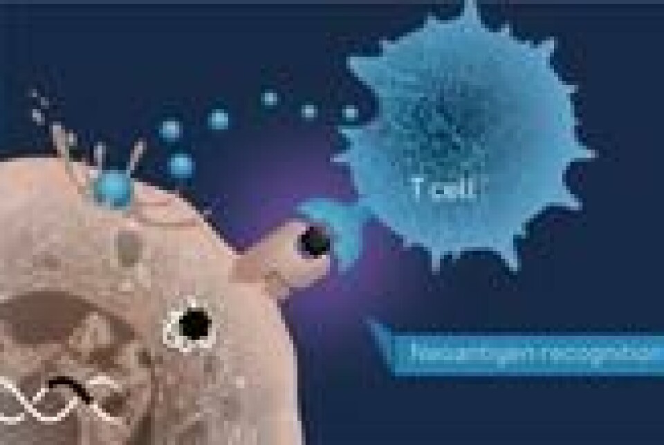 NORSK UTVIKLING: NEC OncoImmunity bruker kunstig intelligens til å utvikle persontilpasset immunterapi. Kjøpt opp av japanske NEC, forblir i Norge. NORSK UTVIKLING: NEC OncoImmunity bruker kunstig intelligens til å utvikle persontilpasset immunterapi. Kjøpt opp av japanske NEC, forblir i Norge. Foto: NEC OncoImmunity AS