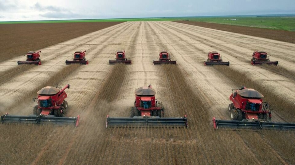 SOYA-AREALER: Soyaproduksjonen i Brasil beslaglegger enorme arealer, blant annet i forhenværende regnskog. MDG krever slutt på import til fiskefôr, også av sertifisert «avskogingsfri» soya. Her fra innhøsting i Campo Novo do Parecis i Mato Grosso