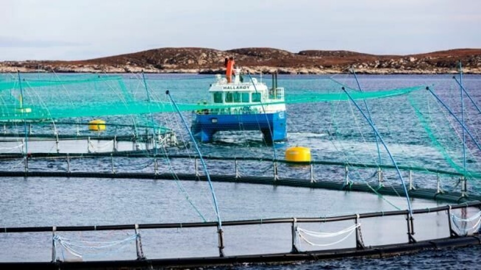 Havbruksnæringen i Norge importerte 323.680 tonn soyakonsentrat til fiskefôr i 2018. Havbruksnæringen i Norge importerte 323.680 tonn soyakonsentrat til fiskefôr i 2018. Foto: Gorm Kallestad / NTB scanpix