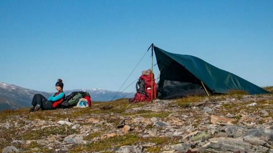 Gjennom instagram-kontoen @femtitonetter har Silje Ryvold fått et nært forhold til sine nesten 7000 følgere. – Det har gitt en ekstra dimensjon til hele prosjektet. Det er første gang jeg føler at sosiale medier har vært sosialt. Gjennom instagram-kontoen @femtitonetter har Silje Ryvold fått et nært forhold til sine nesten 7000 følgere. – Det har gitt en ekstra dimensjon til hele prosjektet. Det er første gang jeg føler at sosiale medier har vært sosialt. Foto: Silje Ryvold