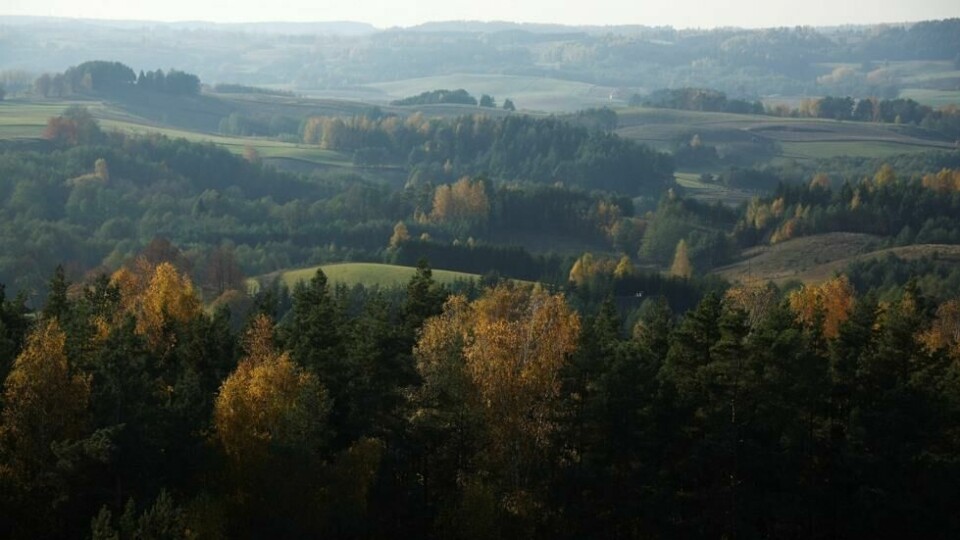 Grenseområdet mellom Belarus og Litauen er alt annet enn enkelt å ta seg fram i. Grenseområdet mellom Belarus og Litauen er alt annet enn enkelt å ta seg fram i. Foto: Kacper Pempel / Reuters/NTB