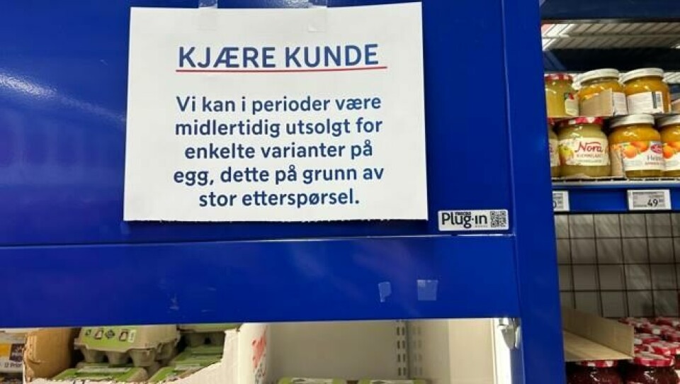 På Rema 1000 på Torshov i Oslo er det stor etterspørsel etter egg. På Rema 1000 på Torshov i Oslo er det stor etterspørsel etter egg. Foto: Fredrik Sveen / ABC Nyheter
