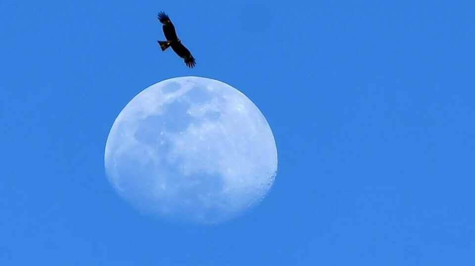 Illustrasjonsfoto: NTB Scanpix/AFP.