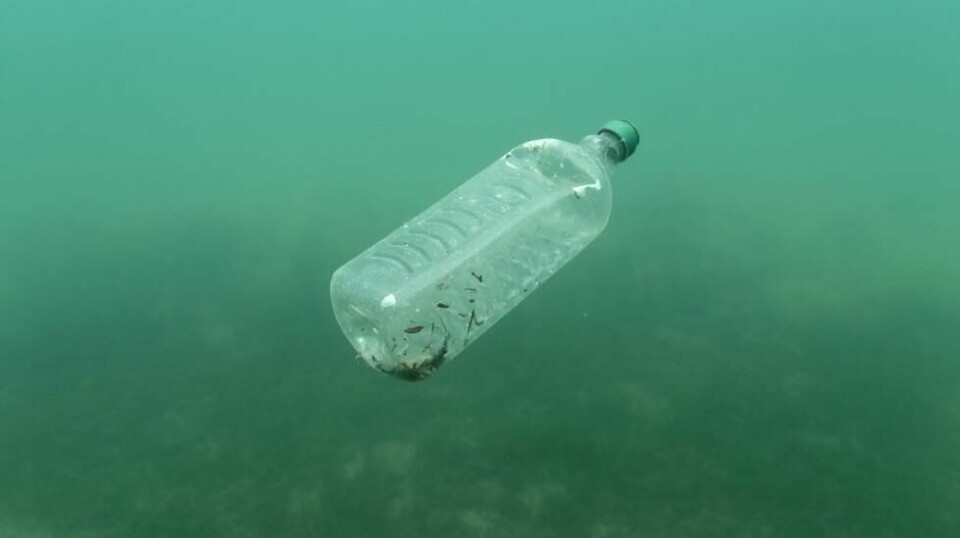 En plastflaske flyter i det Adriatiske hav. Oljefondets investeringer i plastprodusenter som ikke bruker fornybar plast vekker reaksjoner i miljøorganisasjoner som ber Norges Bank Investment Management være sitt ansvar bevisst.