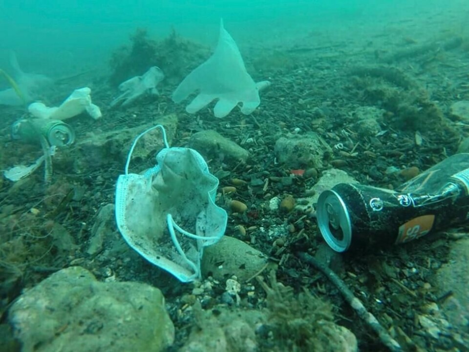 – Produksjon av plast bidrar nemlig til to store miljøproblemer, både økte klimautslipp og en raskt voksende forsøpling av naturen vår. Vi må fremover se store endringer i hvordan vi lager, forbruker og håndterer plast. Selskaper som ikke omstiller seg og blir en del av løsningen, kommer til å bli hengende etter, advarer WWF. Illustrasjonsfoto: Operation Mer Propre / AP / NTB – Produksjon av plast bidrar nemlig til to store miljøproblemer, både økte klimautslipp og en raskt voksende forsøpling av naturen vår. Vi må fremover se store endringer i hvordan vi lager, forbruker og håndterer plast. Selskaper som ikke omstiller seg og blir en del av løsningen, kommer til å bli hengende etter, advarer WWF. Illustrasjonsfoto: Operation Mer Propre / AP / NTB Foto: NTB