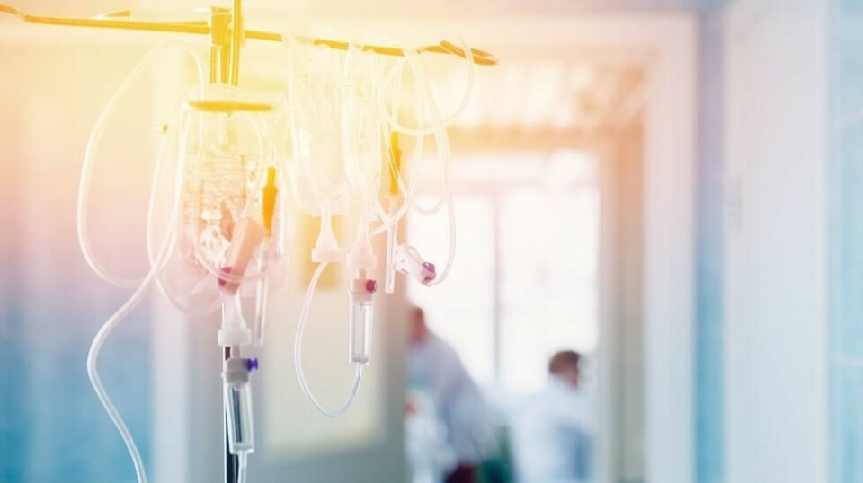 Oppdagelsen av immunterapi blir ansett som «antibiotika-øyeblikket» innen onkologien.