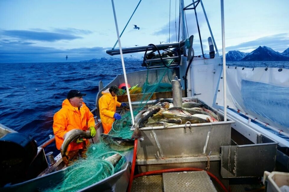 Skipper Trond Dalgård og Jan Gunnar Johansen fisker torsk ved Gryllefjord på utsiden av Senja. Bildet er fra 2015. Skipper Trond Dalgård og Jan Gunnar Johansen fisker torsk ved Gryllefjord på utsiden av Senja. Bildet er fra 2015. Foto: Cornelius Poppe / NTB