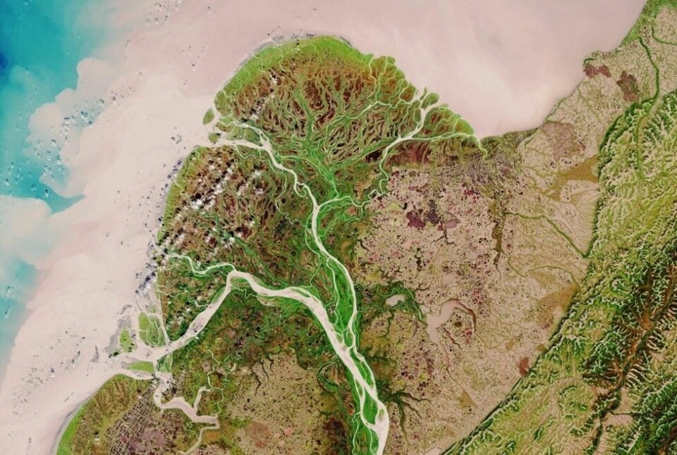 Et delta som er dannet av Yukon-elven i Alaska. Et delta som er dannet av Yukon-elven i Alaska. Foto: lavizzara / Shutterstock / NTB