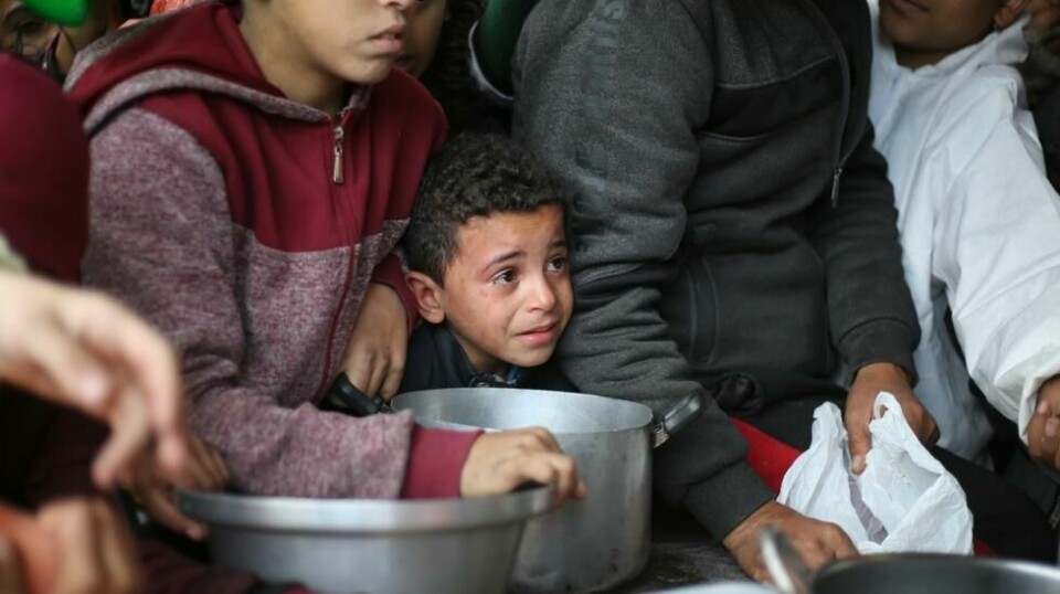 Palestinere kjemper om mat ved et suppekjøkken i Khan Younis i Gaza. Foto: AP / NTB