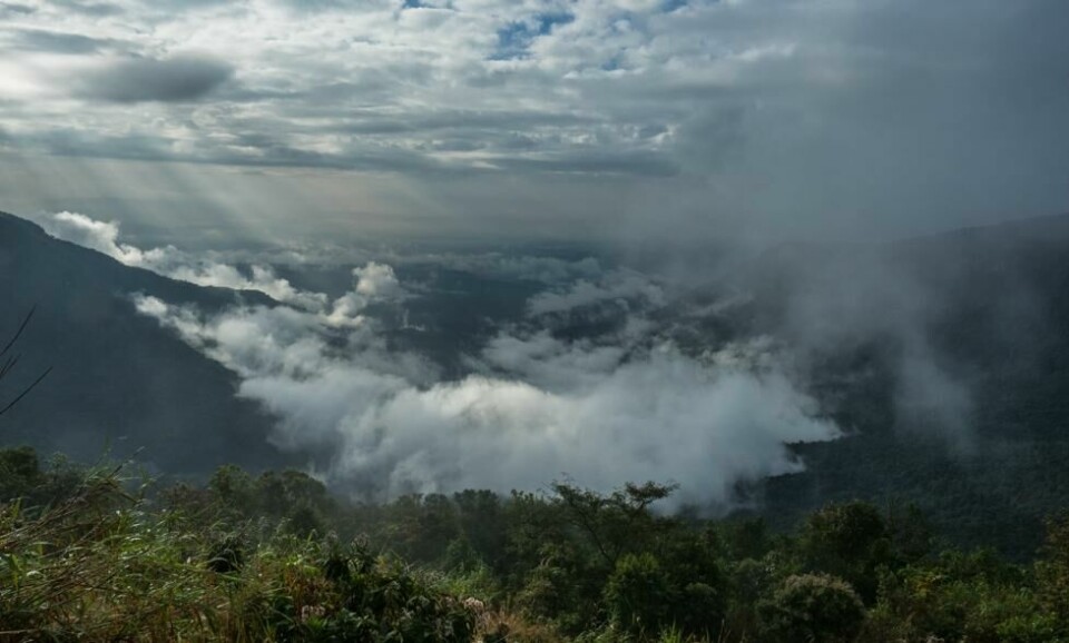 Utsikten fra fjellveien mot Cherrapunji. Foto: Morten Risberg Utsikten fra fjellveien mot Cherrapunji. Foto: Morten Risberg