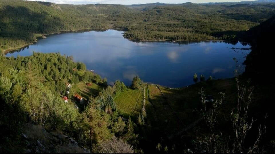 Homme som ligger nær grensen mot Kvinesdal i Vest-Agder. Grenda byr på skogkledde høyder, lettdyrket mark og rikelig med fiskevann som det store Hommevannet. Foto: Atle Grimsby