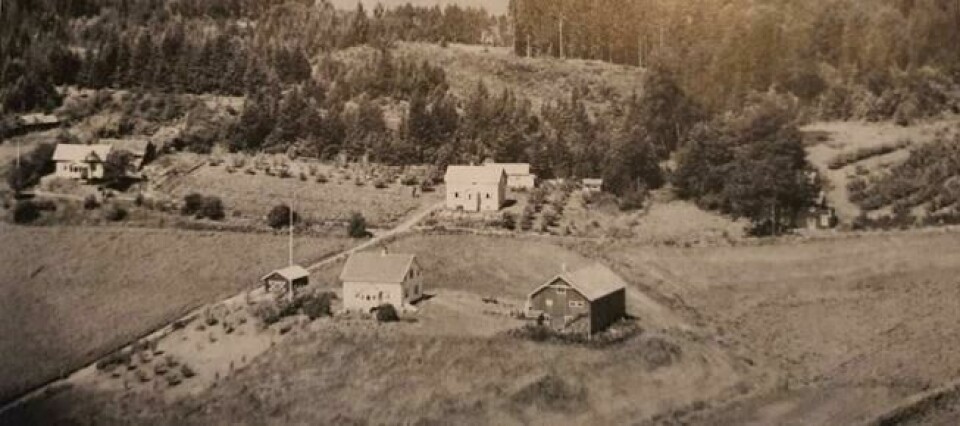 Låven og det hvite huset i front, med en liten garasje på venstre side, er gården Lundstein der den lå den siste delen av Minas liv. Her ble gården bygget opp igjen etter en brann. Huset mellom Lundstein og skogen, Vestheim, var der søsteren til Mina Lundsteins svigerdatter Agnes bodde. Da Lundstein, som opprinnelig lå i høyre hjørne av bildet, brant ned bodde hele familien på Vestheim til gården var gjenoppbygd. Låven og det hvite huset i front, med en liten garasje på venstre side, er gården Lundstein der den lå den siste delen av Minas liv. Her ble gården bygget opp igjen etter en brann. Huset mellom Lundstein og skogen, Vestheim, var der søsteren til Mina Lundsteins svigerdatter Agnes bodde. Da Lundstein, som opprinnelig lå i høyre hjørne av bildet, brant ned bodde hele familien på Vestheim til gården var gjenoppbygd.