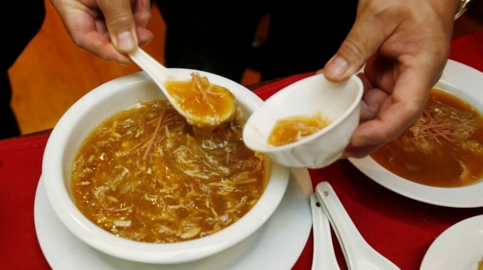 Haifinnesuppe er blitt så kostbar at den spises av prestisjegrunner, som ved festbanketter og bryllup. Dette bildet er fra en kinesisk restaurant i San Francisco. Foto: AP/Paul Sakuma