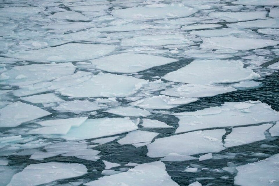 Sjøis som tilsvarer størrelsen på Fastlands-Norge smeltet rundt Svalbard i månedsskiftet januar/februar.