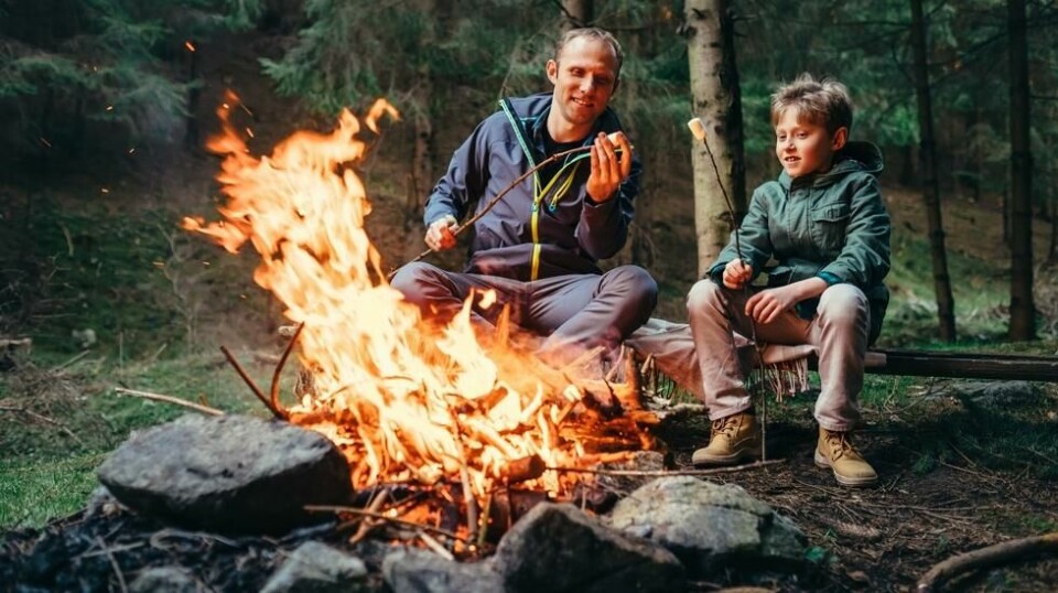 Fra 15. april til 15. september er det generelt forbud mot åpen ild i skog og utmark, med unntak av godkjente bålplasser. Foto: Shutterstock/NTB Scanpix