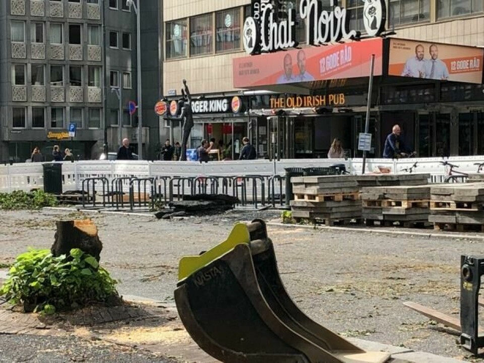Samtlige av trærne som nå er borte skal være av typen lind og var om lag 35–40 år gamle. Nye rødlønntrær vil bli plantet i løpet av høsten 2020. (Foto: Gunnar R. Larsen, ABC Nyheter) Samtlige av trærne som nå er borte skal være av typen lind og var om lag 35–40 år gamle. Nye rødlønntrær vil bli plantet i løpet av høsten 2020. (Foto: Gunnar R. Larsen, ABC Nyheter)
