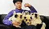 En ansatt ved Cute Pet Games sitter med hundene i fanget, samtlige farget for minne om kjempepandaen. Foto: STR / AFP