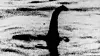 I flere år trodde folk at det var sjøuhyret Nessie man kunne se i dette bildet. Senere har det kommet frem at bildet var falskt. Foto: AP