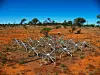 Forskerne bak den nye studien har brukt Murchison Widefield Array, et radioteleskop ute i den Australske ødemarken. Teleskopet består av mange antenner som ert spredt over et område på flere kvadratkilometer. (Foto: Natasha Hurley-Walker/ CC BY-SA 4.0)
