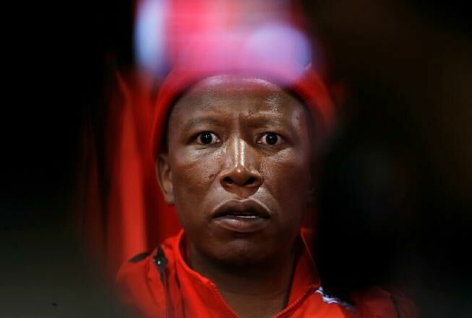 Lederen for det venstreradikale partiet EFF, Julius Malama under en valgkampmobilisering. NTB Scanpix/Reuters. Lederen for det venstreradikale partiet EFF, Julius Malama under en valgkampmobilisering. NTB Scanpix/Reuters.