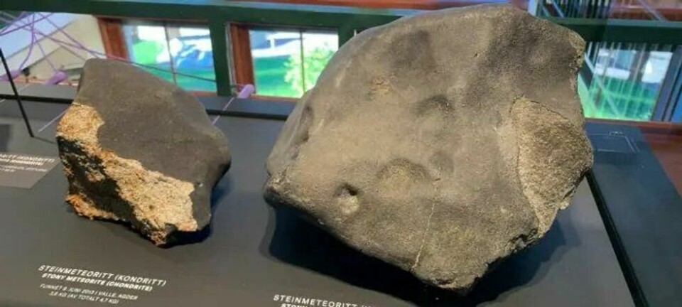 Meteoritten Jordalen er klassifisert som en L6 kondritt. Kondrittene har små runde kuler som kalles kondruler. Jordalen inneholder ganske lite jern, men nok til at den tiltrekkes av magneter. De mørke linjene viser at steinen har blitt utsatt for kraftige sammenstøt med andre himmellegemer. Meteoritten Jordalen er klassifisert som en L6 kondritt. Kondrittene har små runde kuler som kalles kondruler. Jordalen inneholder ganske lite jern, men nok til at den tiltrekkes av magneter. De mørke linjene viser at steinen har blitt utsatt for kraftige sammenstøt med andre himmellegemer. Foto: Øivind Thoresen / Naturhistorisk museum