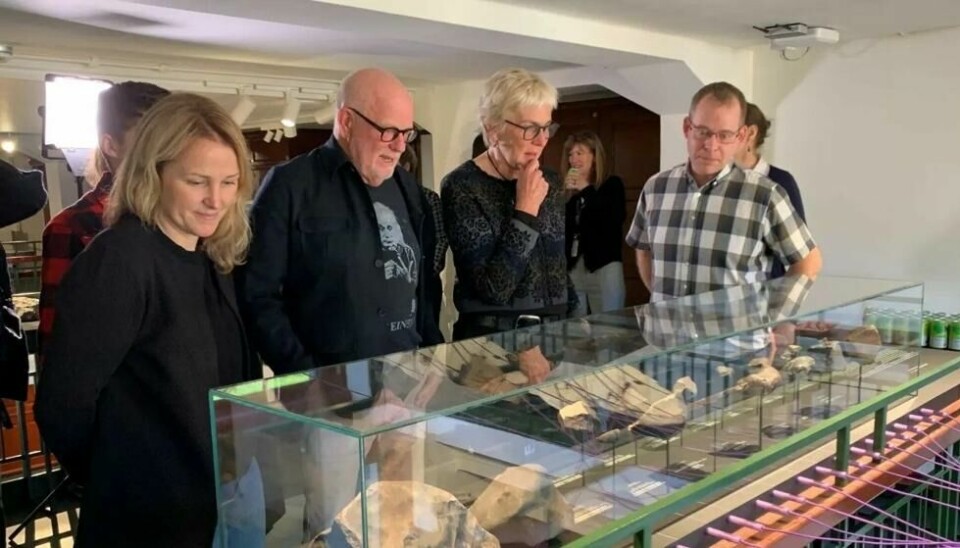 Stine Hårklau, Morten Bilet, Brit Lisa Skjelkvåle og Henrik Friis beundrer den nesten komplette samlingen over norske meteoritter. Stine Hårklau, Morten Bilet, Brit Lisa Skjelkvåle og Henrik Friis beundrer den nesten komplette samlingen over norske meteoritter. Foto: Ingrid Spilde