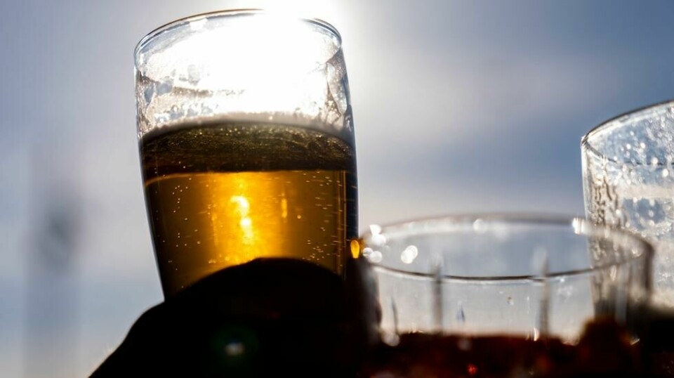 Unge Venstre vil la 16-åringer kjøpe drikkevarer med en alkoholprosent opptil 4,7 prosent.