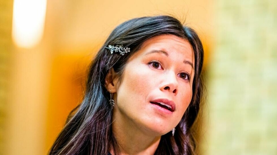 MDGs Lan Marie Berg.