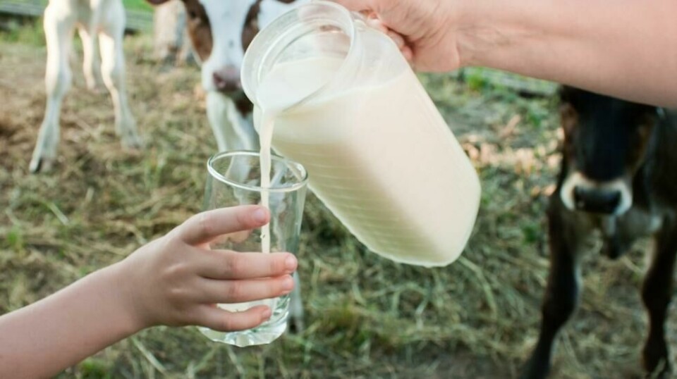 Melk skal være bra for beinbyggingen, men den nederlandske mannen ble sendt på intensivavdelingen etter å ha fått i seg alt for mye melk.