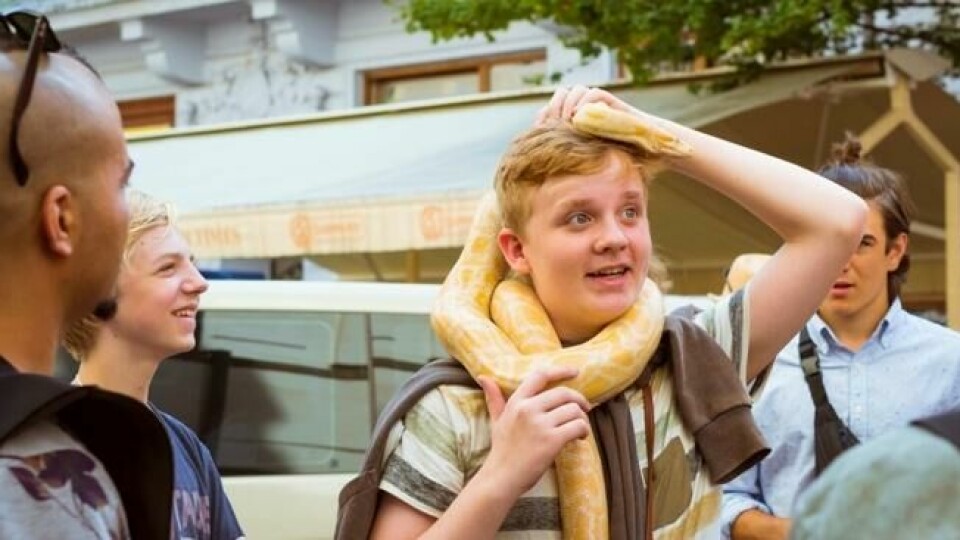 Tusenvis av dyr, fugler og slanger fanges i jungelen, dopes og mishandles for at turistene skal få ta en «viltfie». Foto: Istock Tusenvis av dyr, fugler og slanger fanges i jungelen, dopes og mishandles for at turistene skal få ta en «viltfie». Foto: Istock
