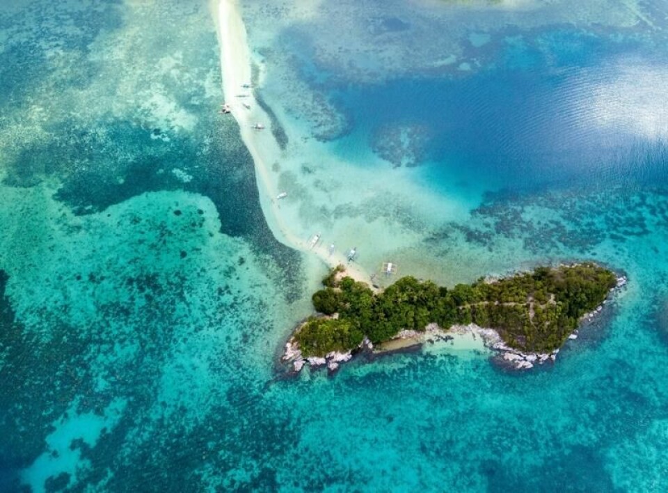 Ilha da Queimada Grande, også kjent som Snake Island, i Brasil, er full av dødelige slanger. Ilha da Queimada Grande, også kjent som Snake Island, i Brasil, er full av dødelige slanger. Foto: Kaveetha Kumudumalee / Shutterstock / NTB