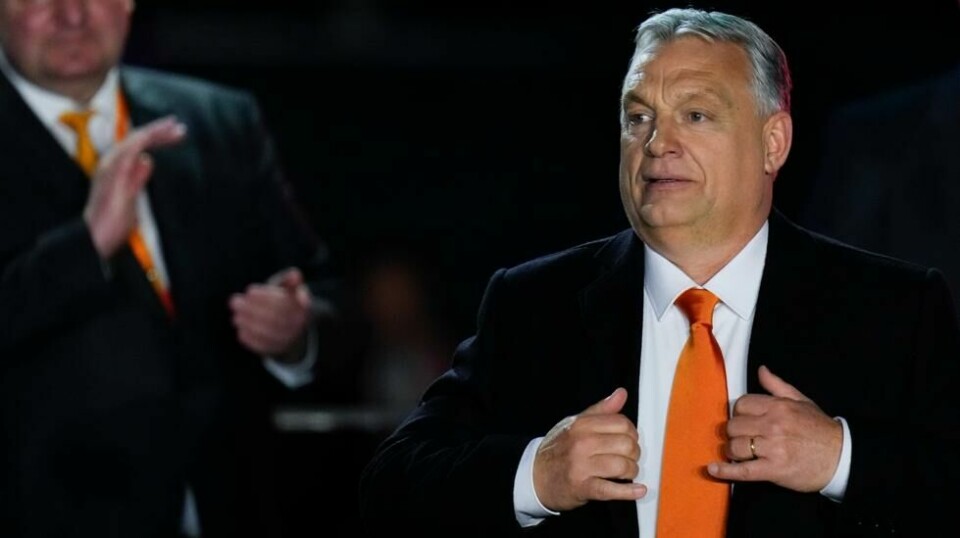 Ungarns statsminister Viktor Orban. Foto: Petr David Josek / AP / NTB