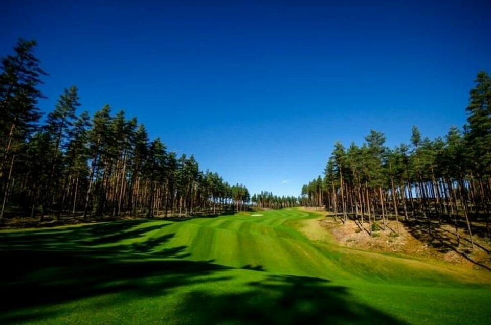 Furutrærne rammer inn alle hullene på Kongsvinger Golfanlegg. Furutrærne rammer inn alle hullene på Kongsvinger Golfanlegg. Foto: Kongsvinger Golfklubb