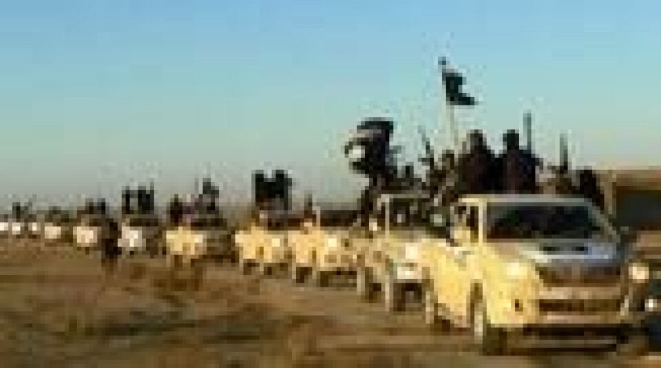 IS-krigere under offensiven i Nord-Irak i 2014. Scanpix/AP. IS-krigere under offensiven i Nord-Irak i 2014. Scanpix/AP. Foto: AP