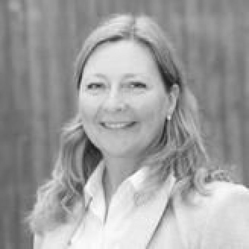 – Kundene våre er mye mer interessert i alkoholfritt enn de var for noen år siden, sier kategorisjef Ann Kristin Heggeseth Bakkeng i Vinmonopolet. Foto: Vinmonopolet.no – Kundene våre er mye mer interessert i alkoholfritt enn de var for noen år siden, sier kategorisjef Ann Kristin Heggeseth Bakkeng i Vinmonopolet. Foto: Vinmonopolet.no