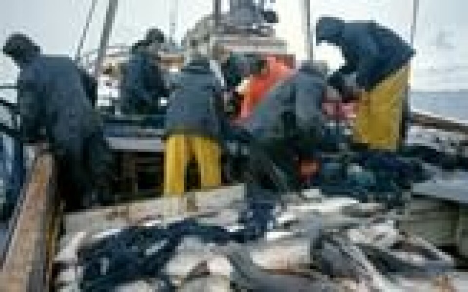 RESSURSKAMP: EU har i alle år ønsket en bit av norske fiskeressurser. Hva skjer med byttet av fiskekvotene hvis Brexit finner sted med et smell 29. mars? RESSURSKAMP: EU har i alle år ønsket en bit av norske fiskeressurser. Hva skjer med byttet av fiskekvotene hvis Brexit finner sted med et smell 29. mars? Foto: Svein Hammerstad / NPK/NTB scanpix