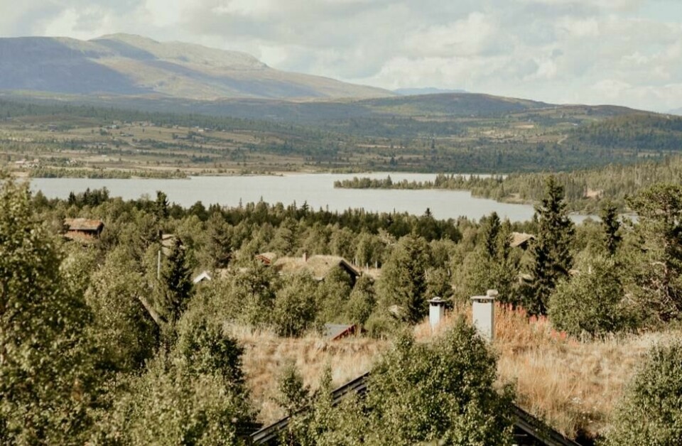 10 prosent vil helst leie hytter langt fra bebyggelse eller vei. 10 prosent vil helst leie hytter langt fra bebyggelse eller vei. Foto: Lanmdfolk.com