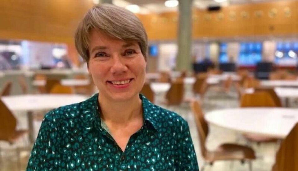 Anne Skevik Grødem har ledet et stort forskningsprosjekt som har skaffet mye ny kunnskap om hvordan eldre har det på jobben. Anne Skevik Grødem har ledet et stort forskningsprosjekt som har skaffet mye ny kunnskap om hvordan eldre har det på jobben. Foto: Siw Ellen Jakobsen